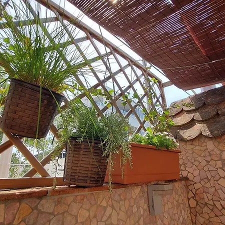 Kivi Apartment Novigrad (Istria)