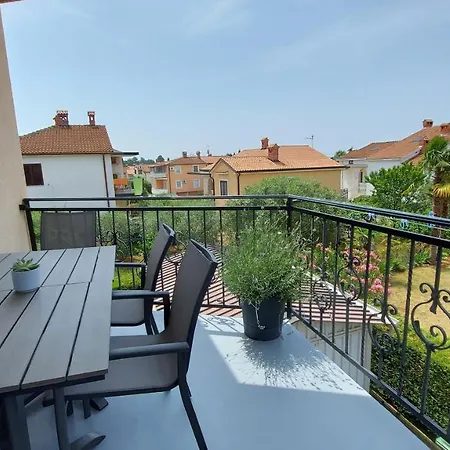 Apartman Kivi *