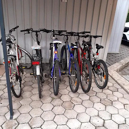 Apartmán Kivi