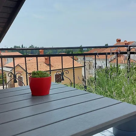 Kivi * Novigrad Istria