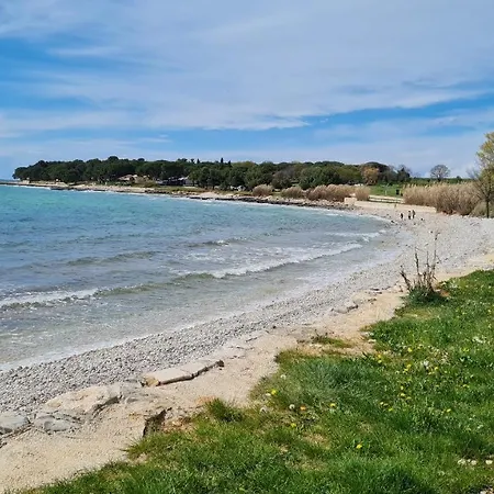 Kivi Διαμέρισμα Novigrad Istria