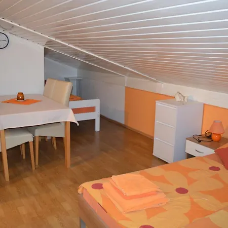 Kivi Novigrad Istria