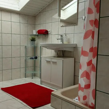 Kivi * Novigrad Istria